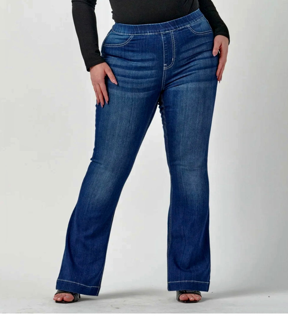 Ms. Cello Curvy Denim