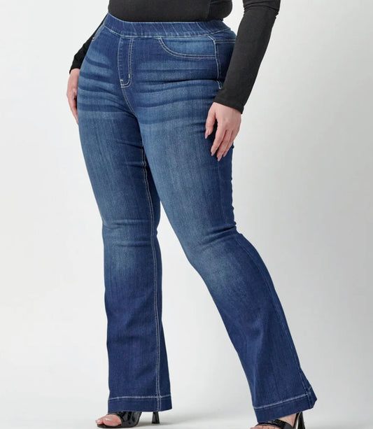 Ms. Cello Curvy Denim